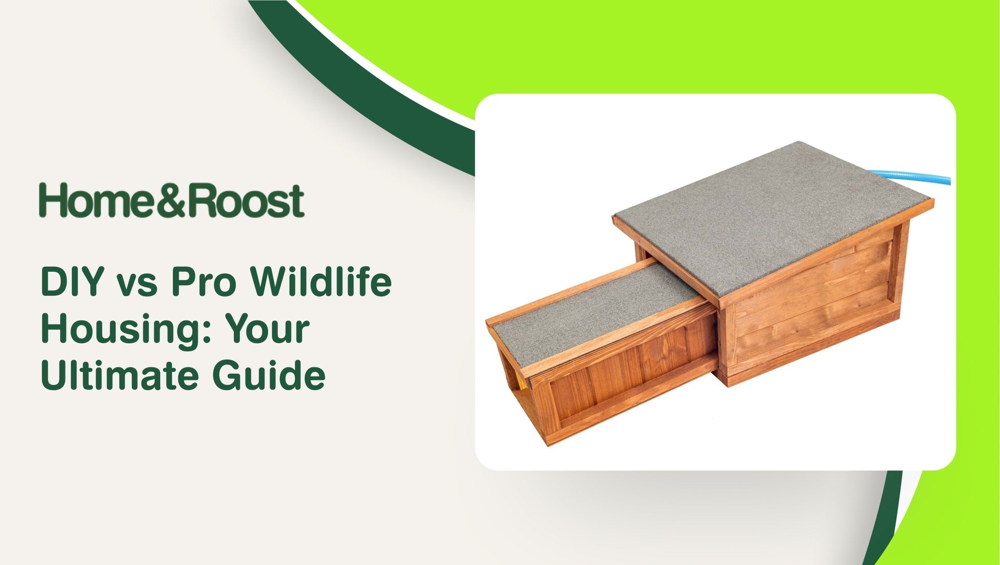 DIY vs Pro Wildlife Housing: Your Ultimate Guide