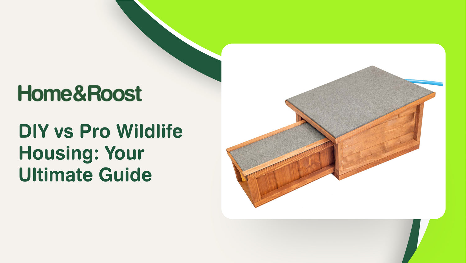 DIY vs Pro Wildlife Housing Your Ultimate Guide Home & Roost