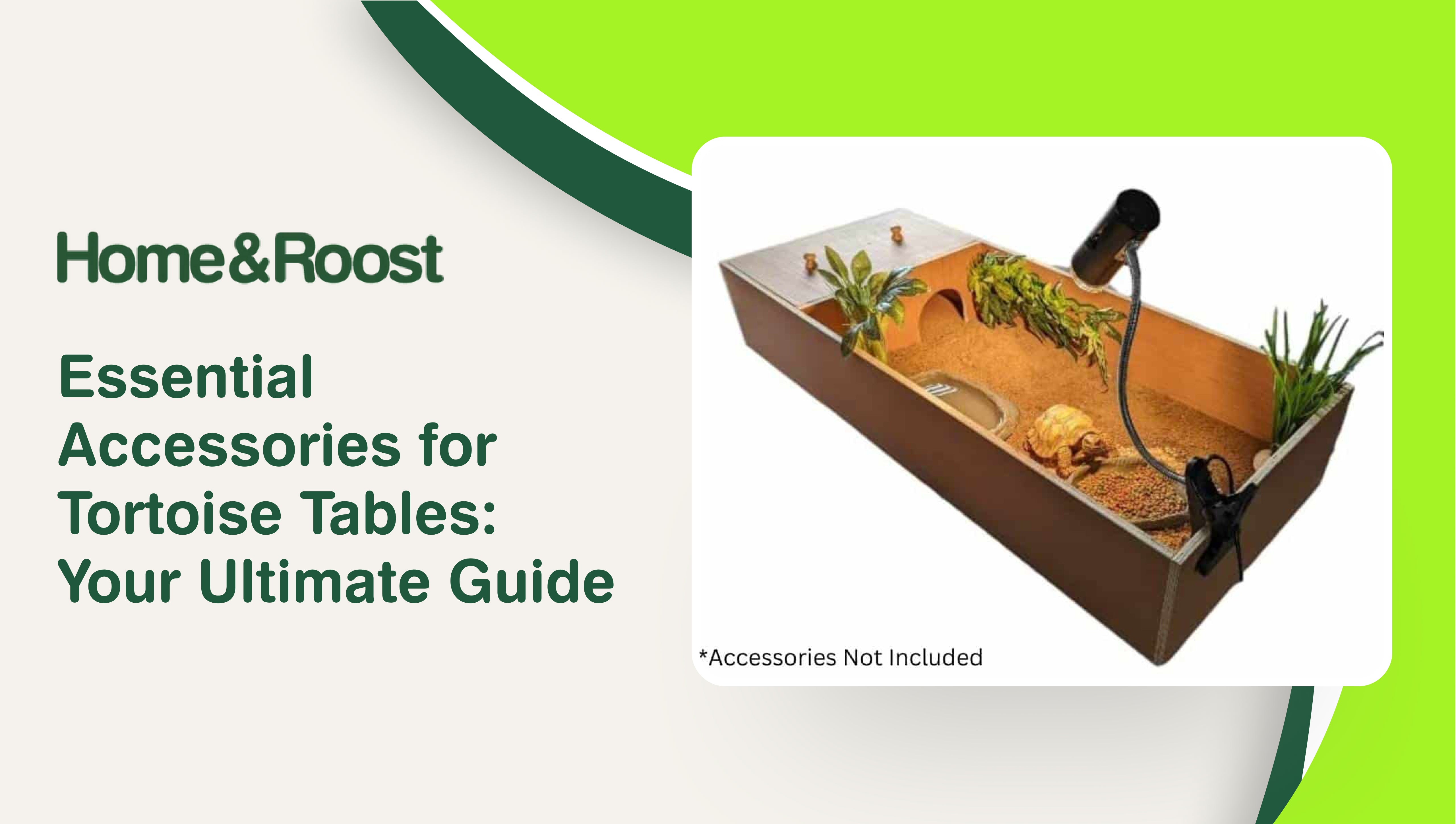 Essential Accessories for Tortoise Tables Your Ultimate Guide Home Roost