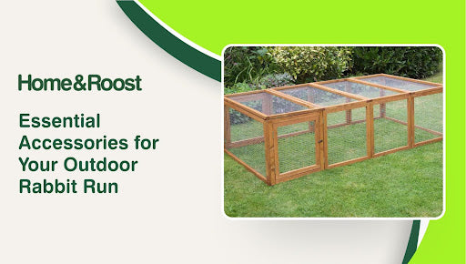Essential Accessories for Your Outdoor Rabbit Run