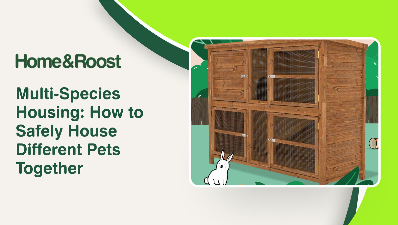 Multi-Species Housing: How to Safely House Different Pets Together