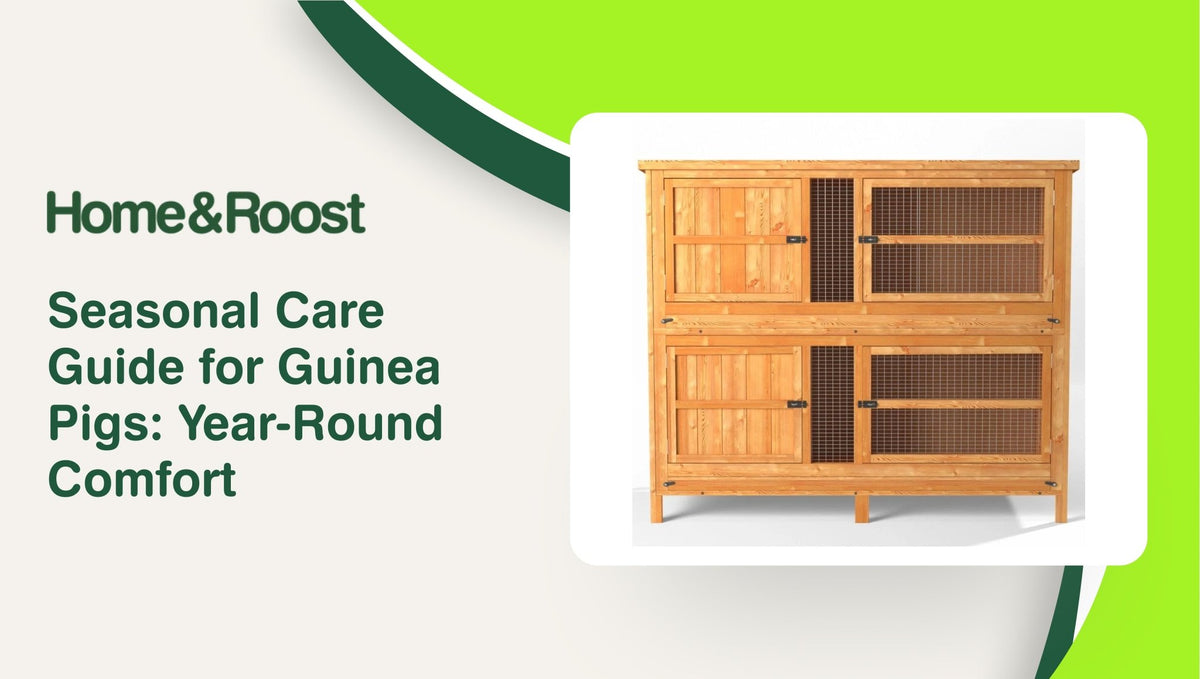 Seasonal Care Guide for Guinea Pigs: Year-Round Comfort – Home & Roost