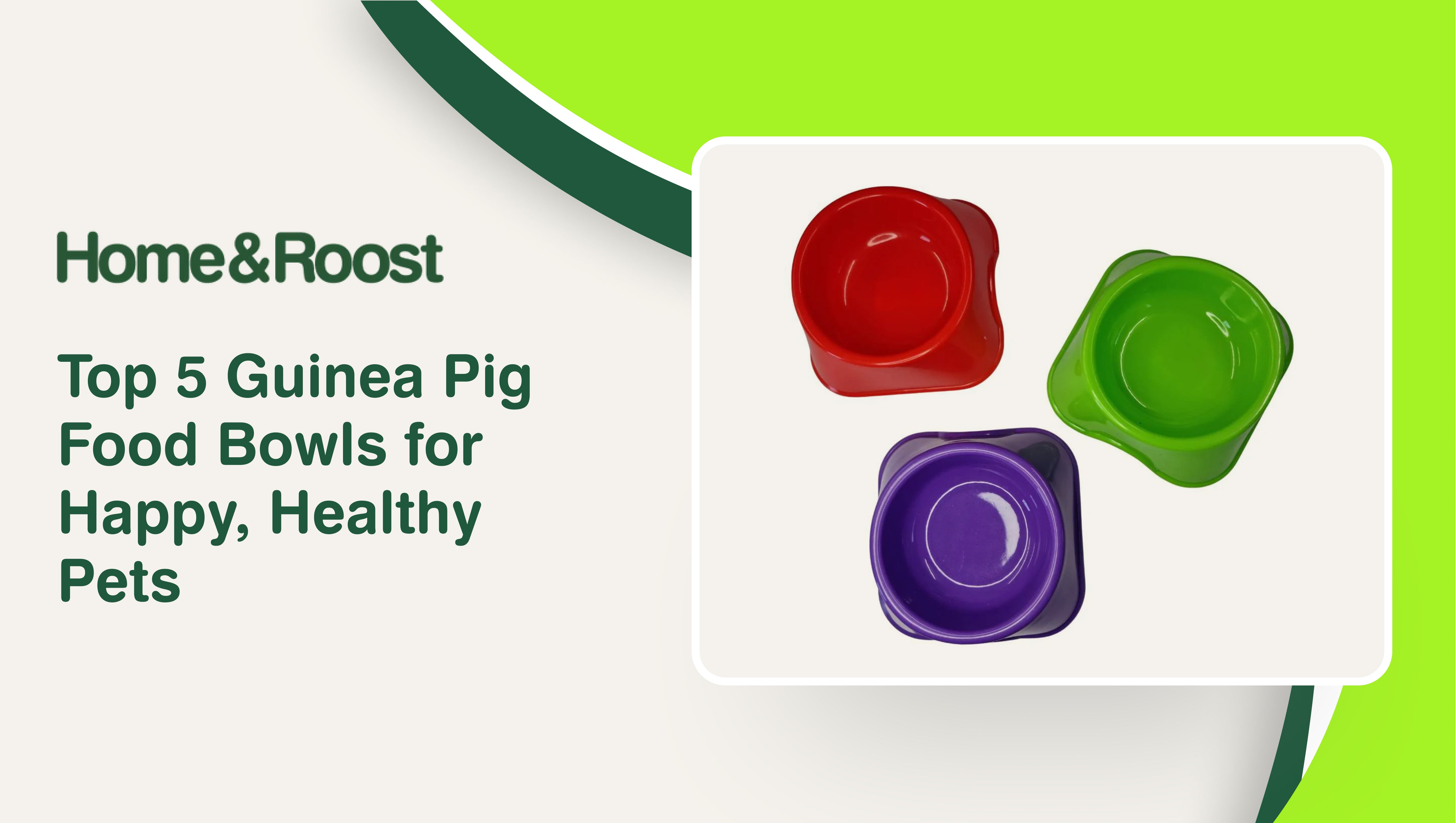 Best guinea pig food bowl 2025