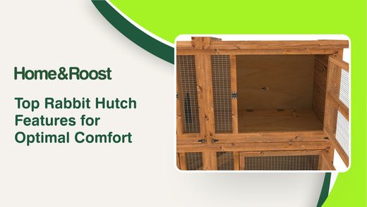 Top Rabbit Hutch Features for Optimal Comfort – Home & Roost
