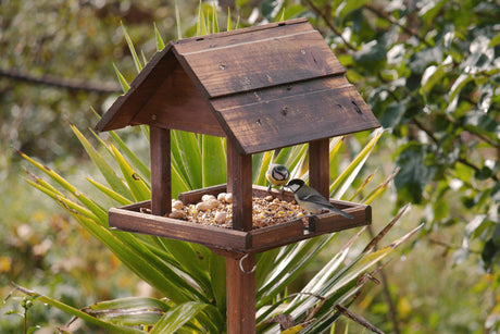 Where To Place a Bird Table?