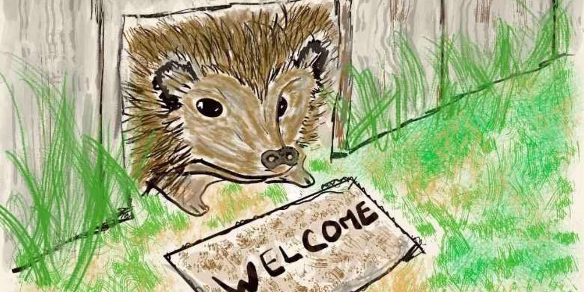 How to encourage hedgehogs Into Your Garden | 10 Top Tips