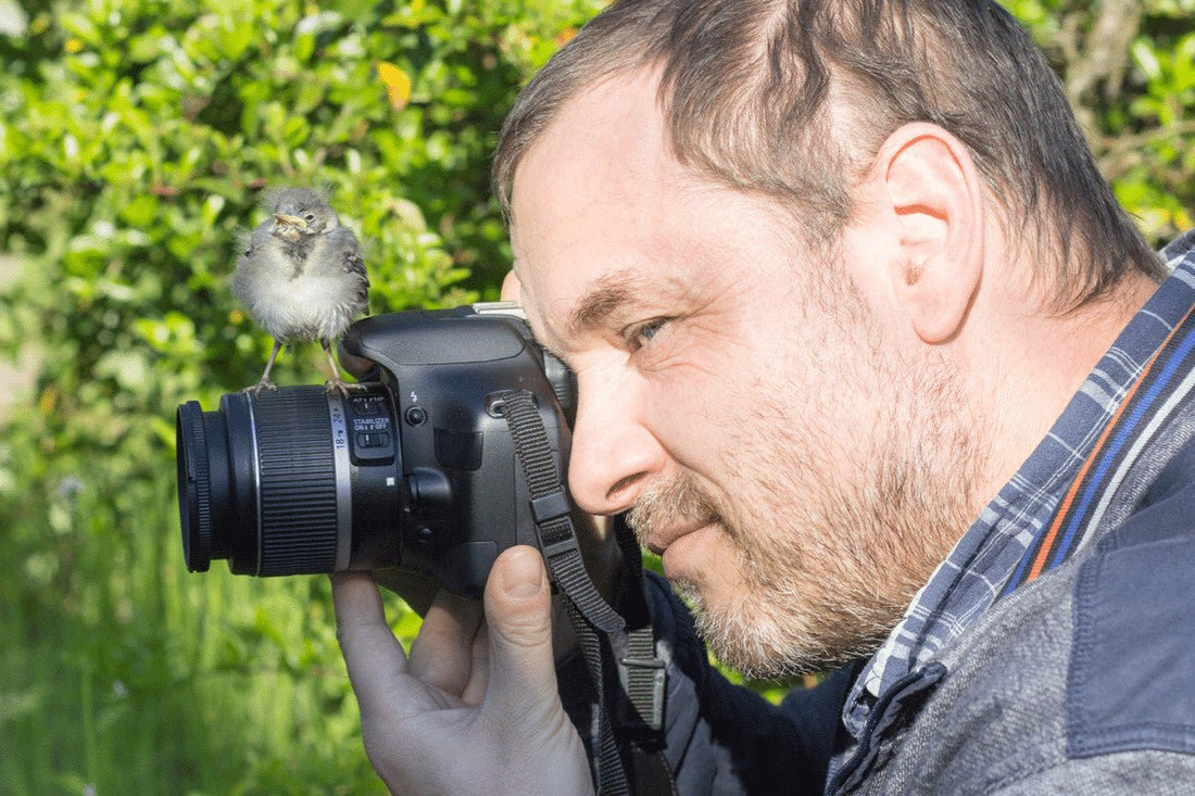 How To Photograph Garden Birds