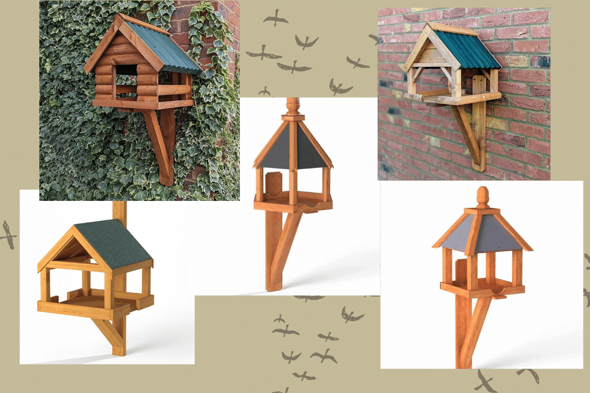 Wall-Mounted Bird Tables | Perfect for Even The Smallest Outdoor Space