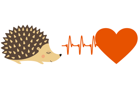 How To Tell If a Hedgehog is Dead Or Hibernating?