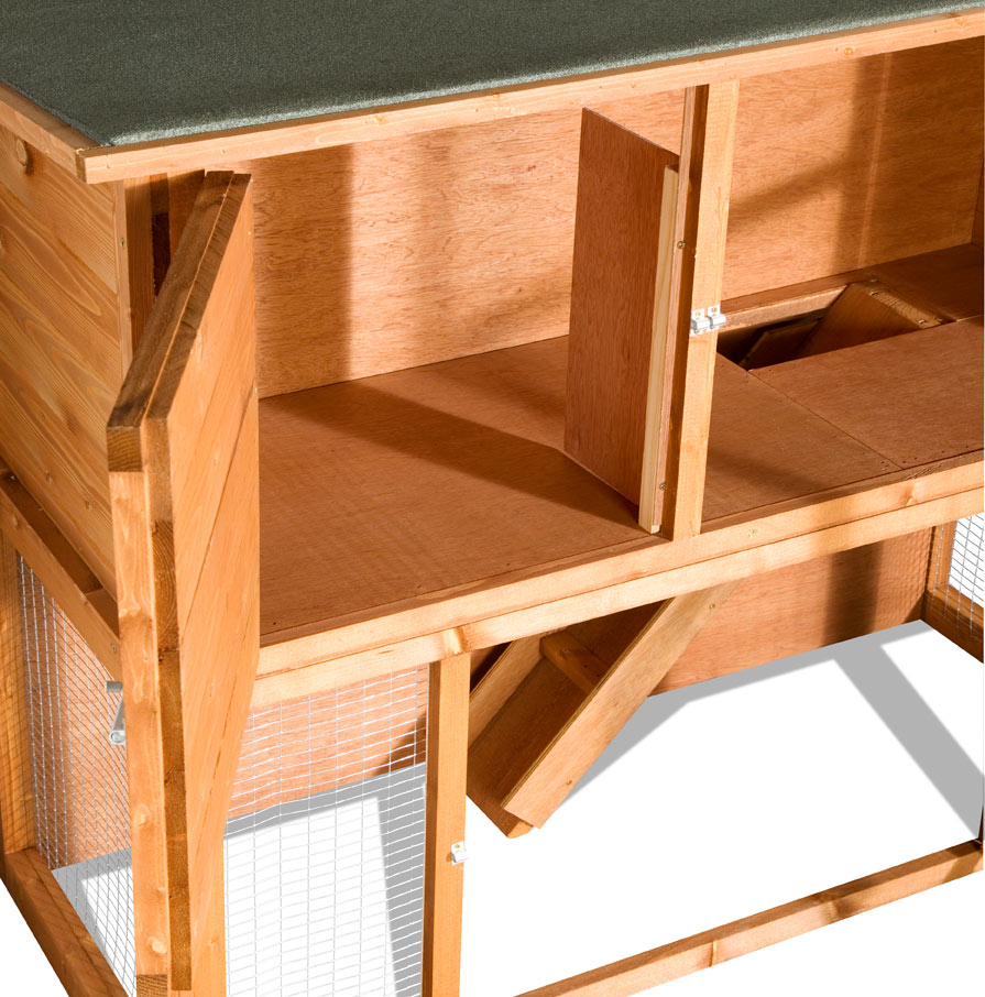 How to Feed Birds Without Attracting Rats Home & Roost