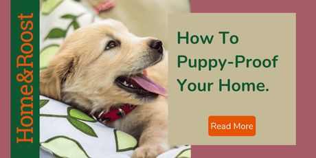 How To Puppy-Proof Your Home - A Room-by-Room Guide