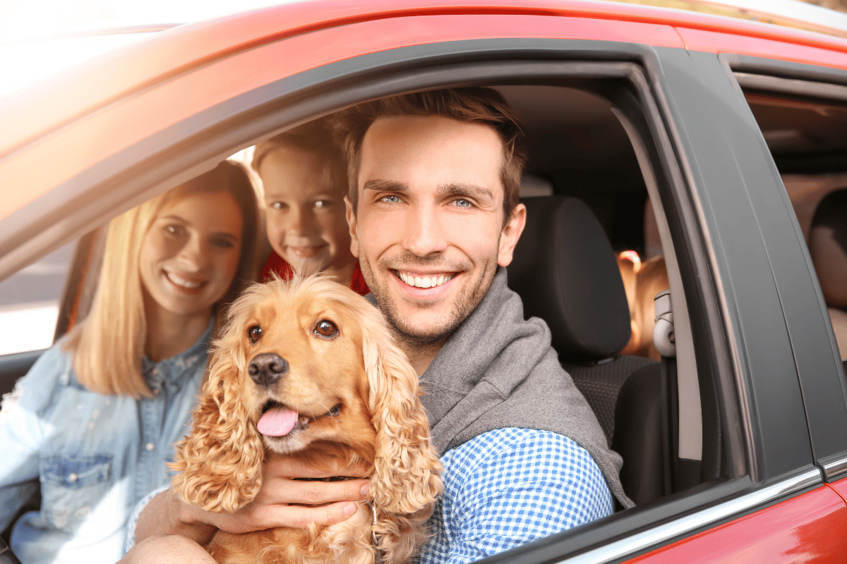 7 Top Tips for Happy Travels With Your Dog – Home & Roost