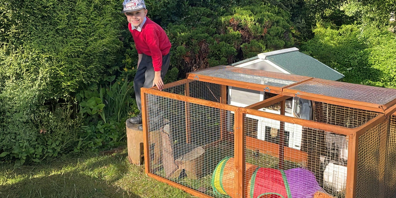 Rabbit Run with Rabbit Tunnel Attchement