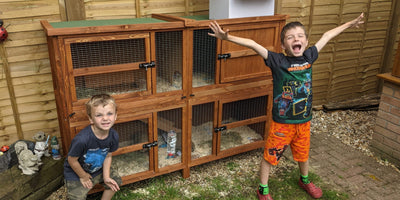 The Perfect Rabbit Hutch Set Up – Home & Roost