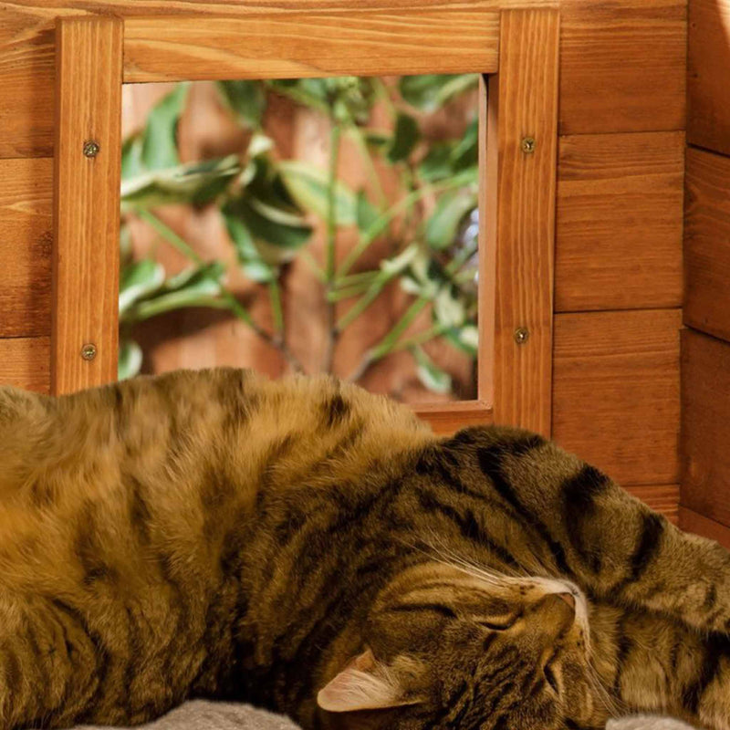 Cat House Beds