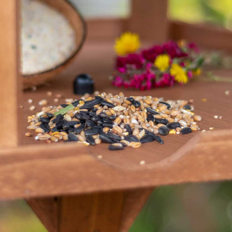 Wild Bird Food