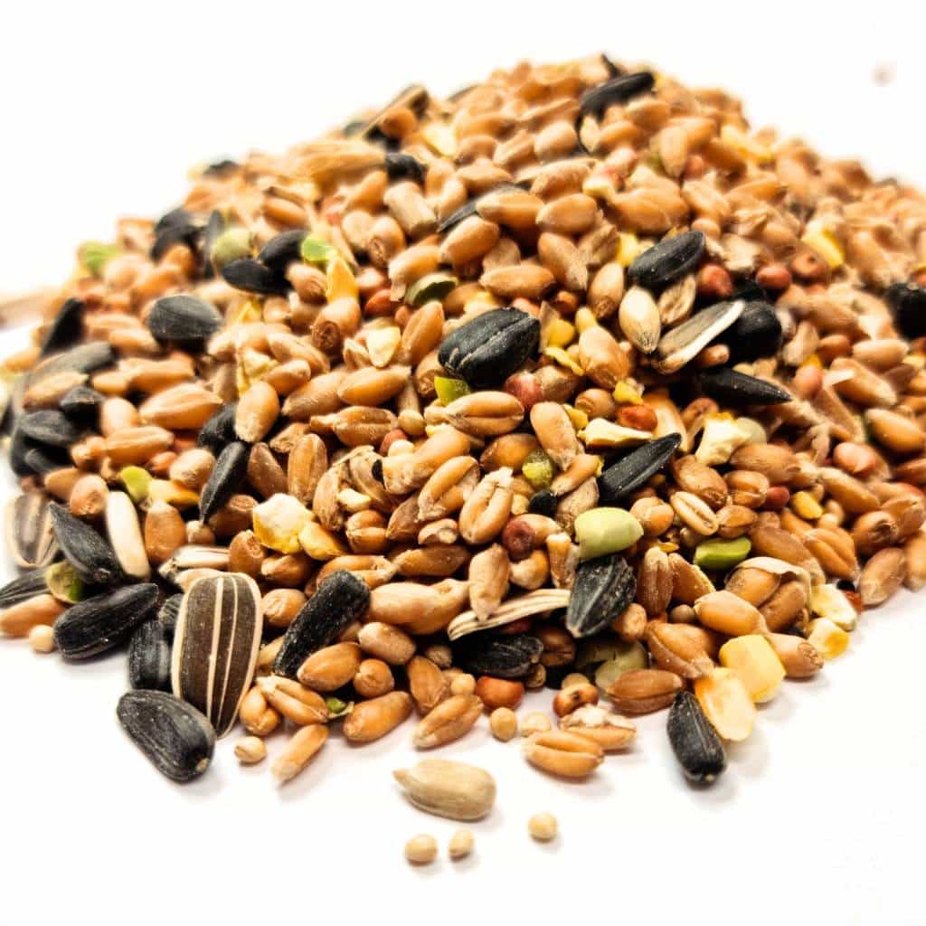 Bird Feeder Mix