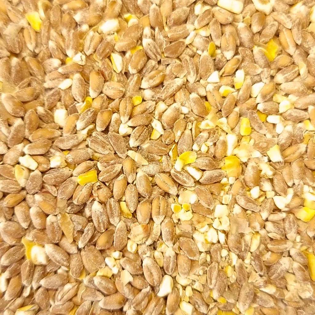Chicken Food & Storage