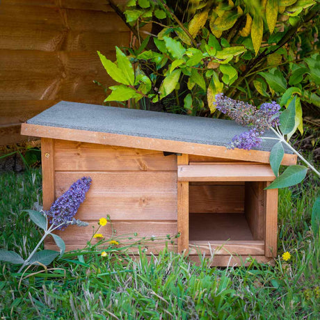 hedgehog hibernation home and feeding station