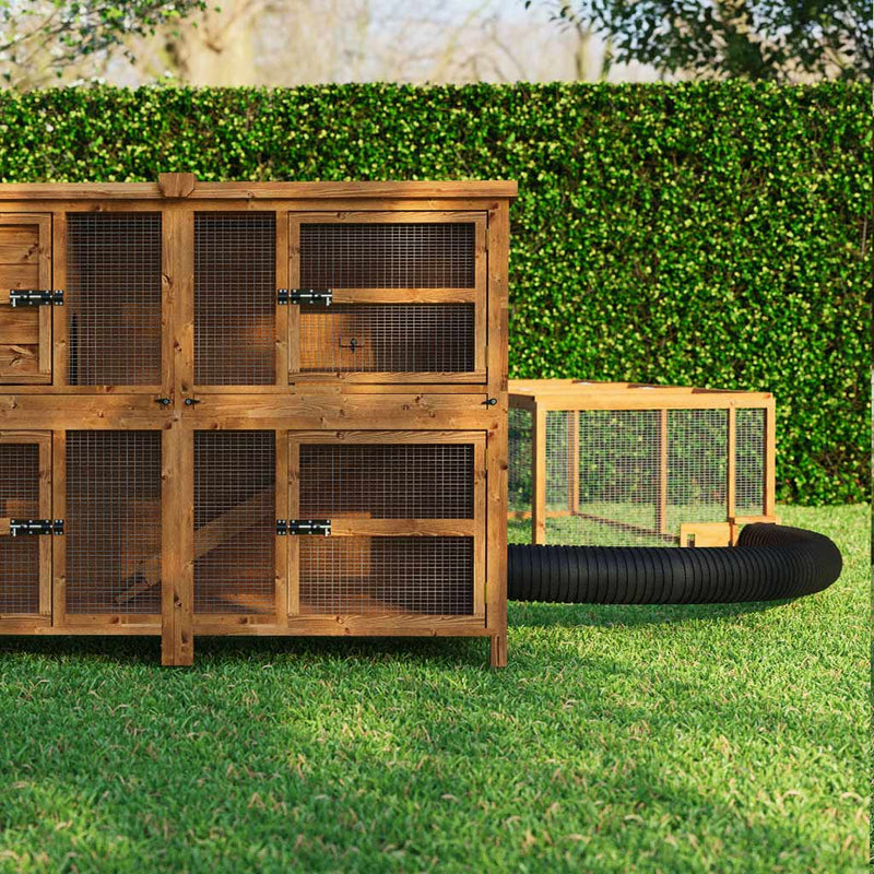 Foxes, Rabbit Hutches And Your Garden | Essential Guide to Fox Proof R ...