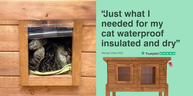 Insulated Outdoor Cat Houses