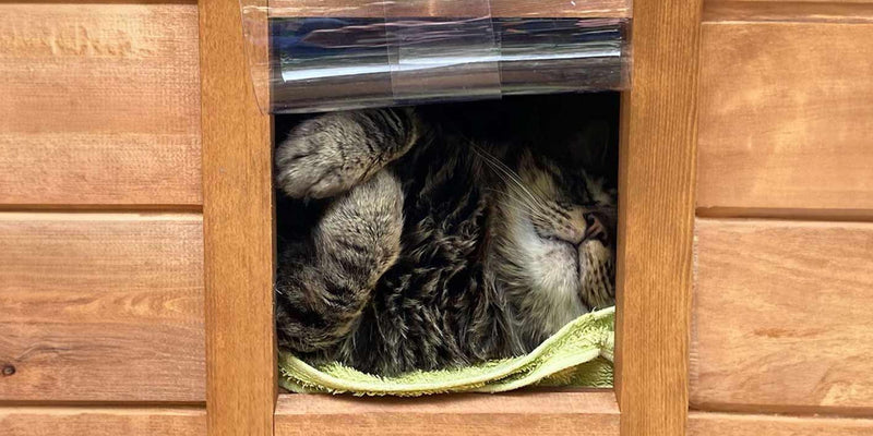 Insulated Outdoor Cat Houses