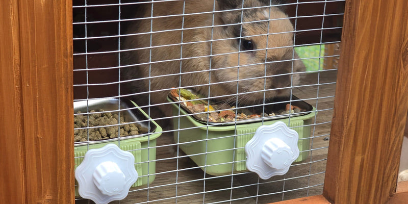 Rabbit Hutch Accessories