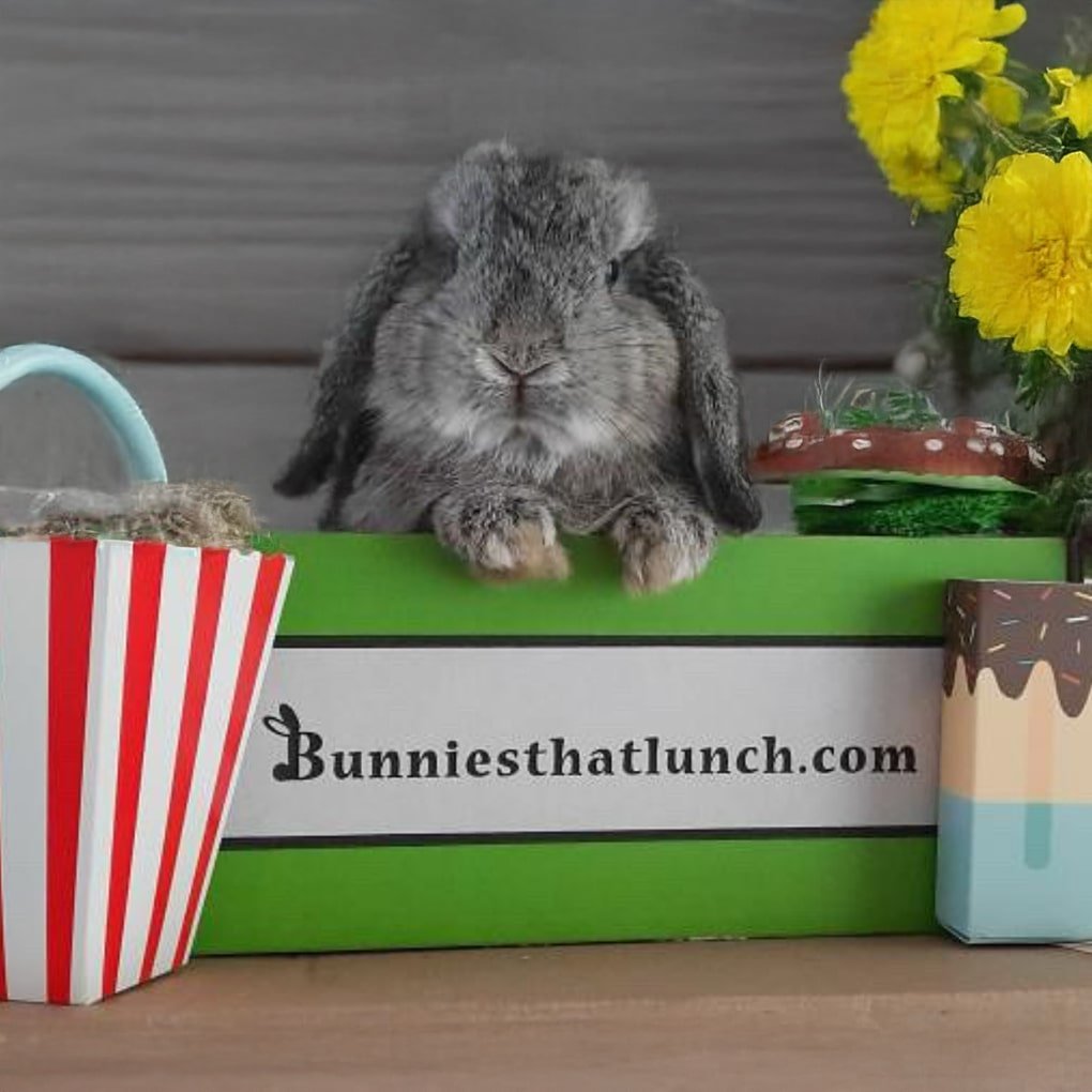 rabbit subscription box – Home & Roost