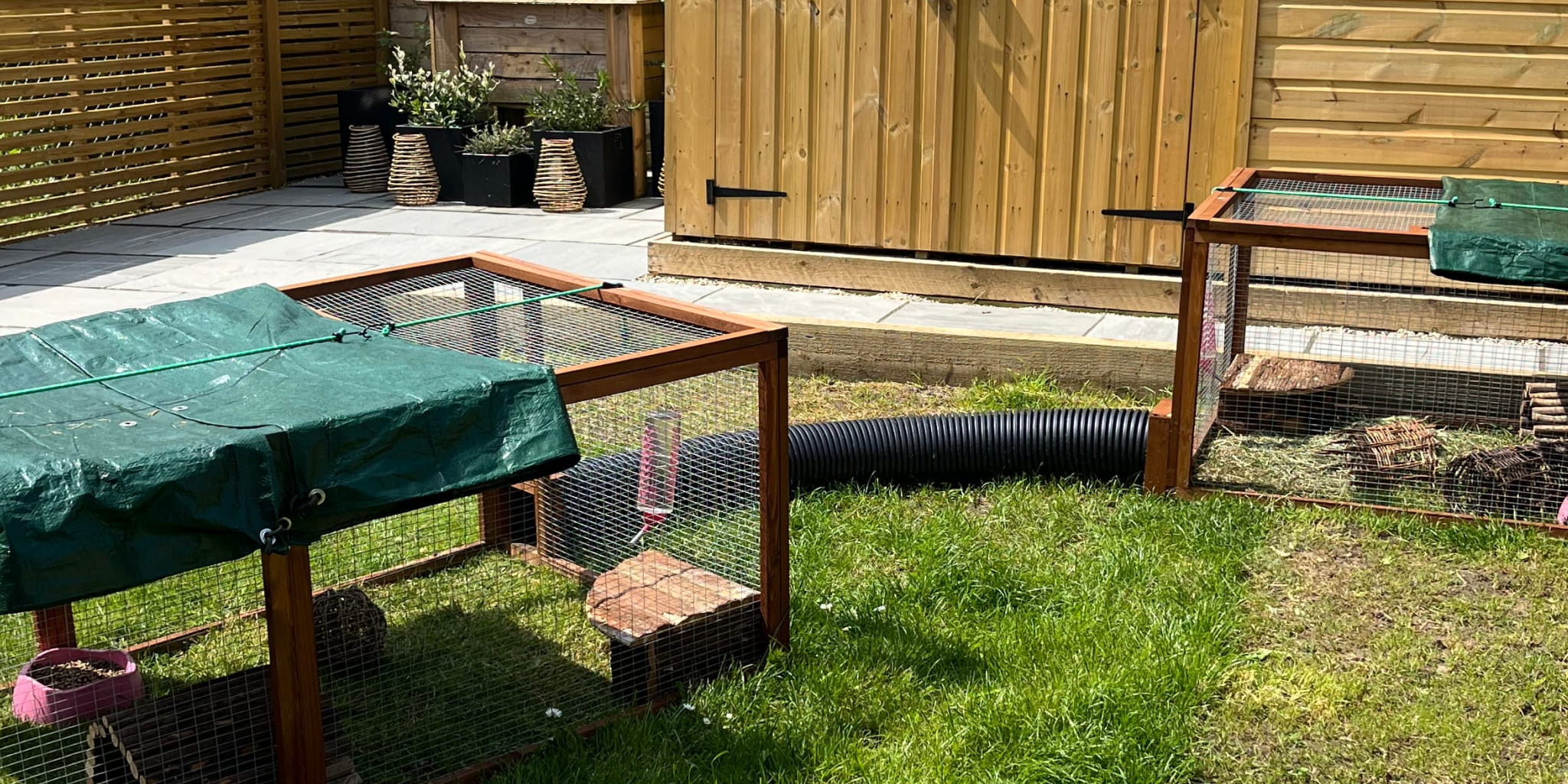 Rabbit Tunnels & Runs