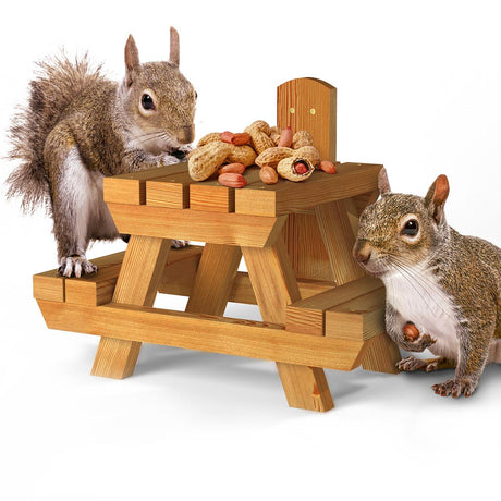 squirrel feeders, food and accessories