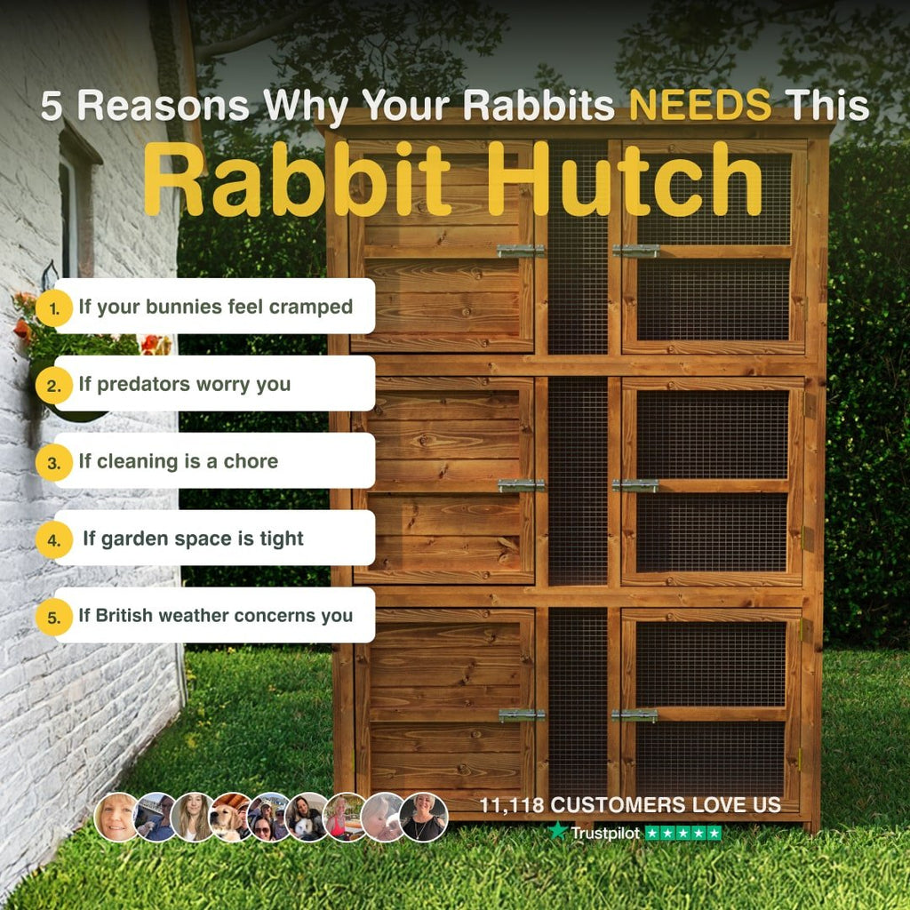 Wooden rabbit hutch with text listing reasons why rabbits need one, set against a grassy background.