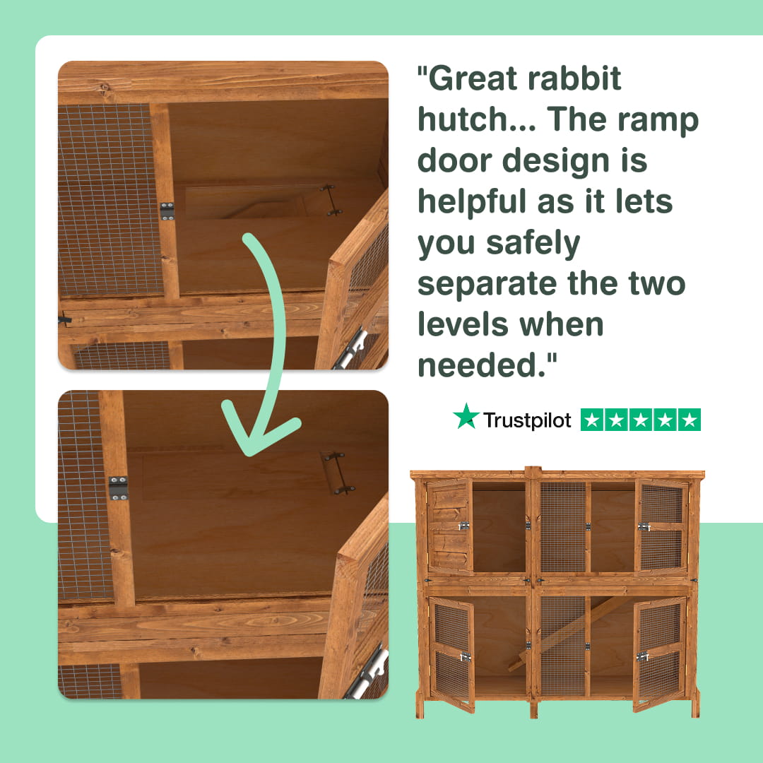 5ft Chartwell Double Rabbit Hutch