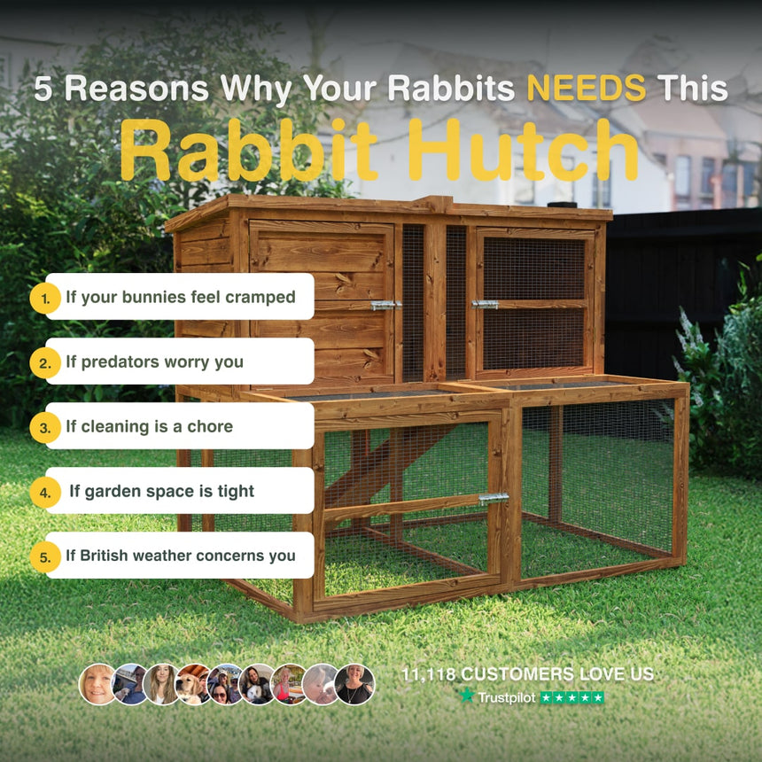 Wooden rabbit hutch with reasons why it's needed on a grassy background