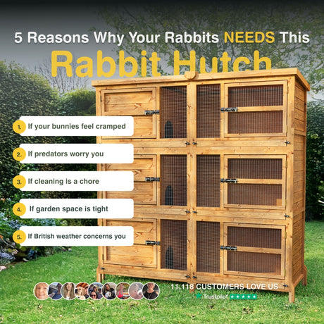 Wooden rabbit hutch with reasons why rabbits need it on a grassy background
