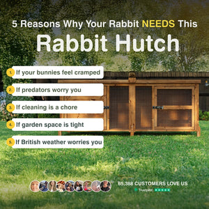Wooden rabbit hutch with reasons why a rabbit needs one on a grassy background