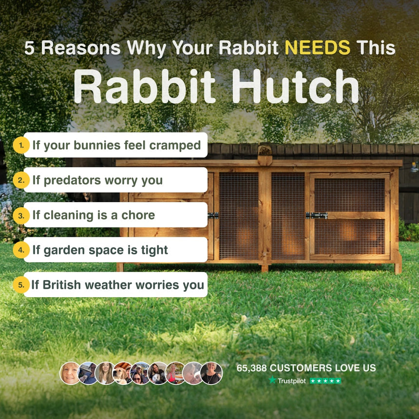 Wooden rabbit hutch with reasons why a rabbit needs one on a grassy background