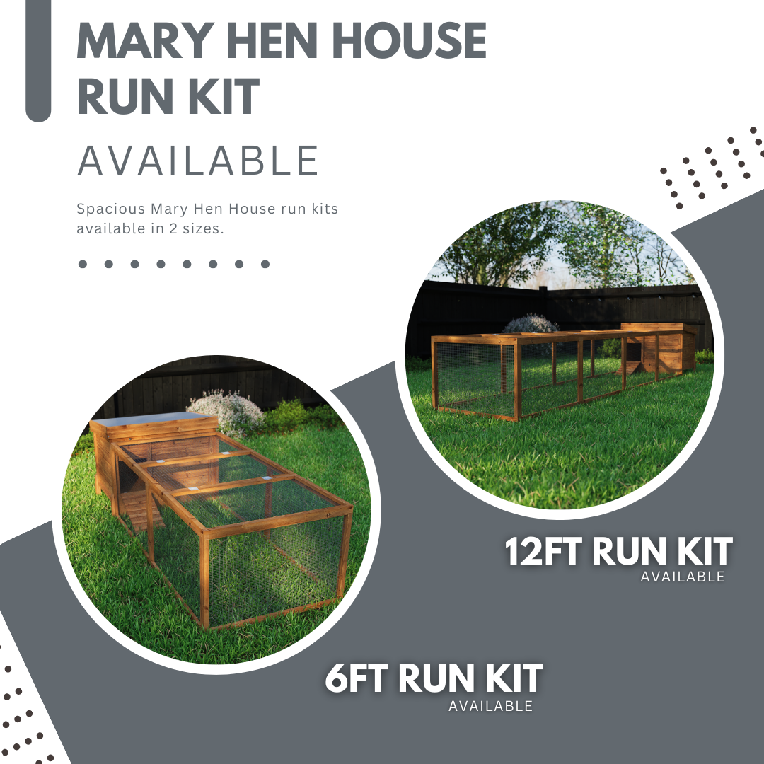 3ft Mary Hen House