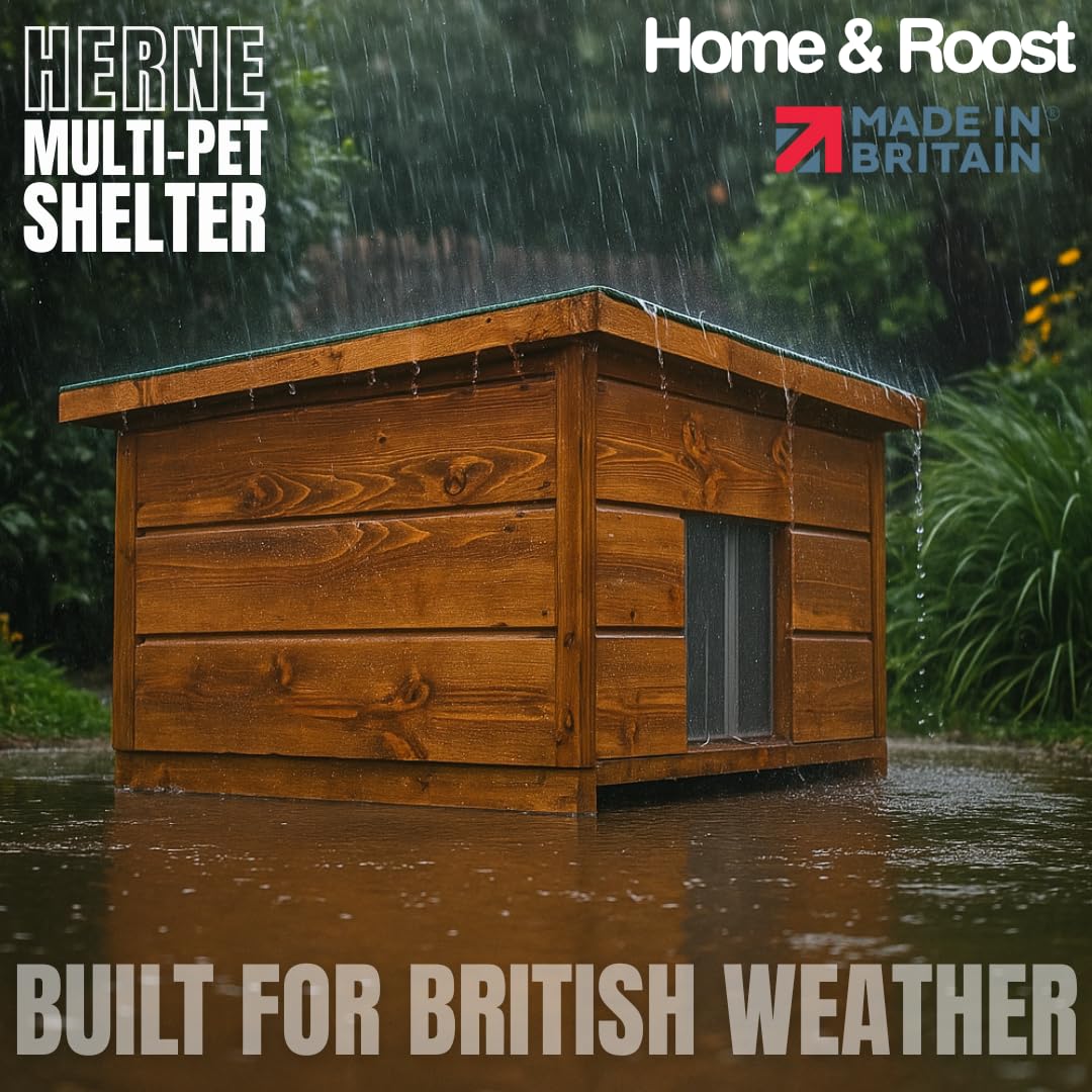 Herne Multi-Pet Animal Shelter — Perfect for Cats, Rabbits, Guinea Pigs, and Other Small Animals