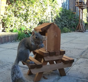 The Great British Anti-Bacterial Squirrel Picnic Table With Lunch Box Feeder - Home & Roost