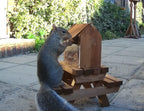 The Great British Anti-Bacterial Squirrel Picnic Table With Lunch Box Feeder - Home & Roost