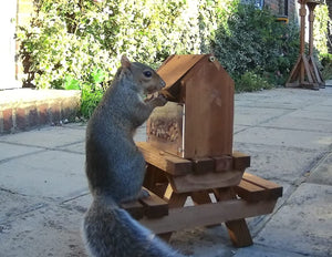 The Great British Anti-Bacterial Squirrel Picnic Table With Lunch Box Feeder - Home & Roost