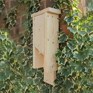 wooden bat box wall mounted