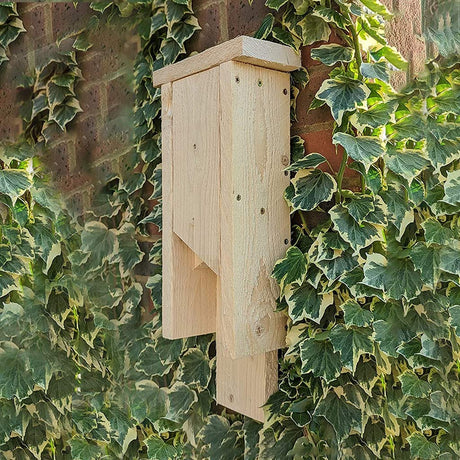 wooden bat box wall mounted