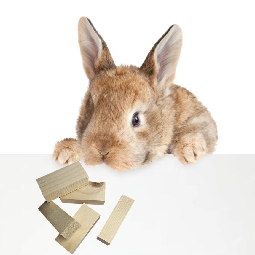 Home & Roost BUNNY BLOCKS 100g | Healthy And Natural Boredom Buster For Your Pet
