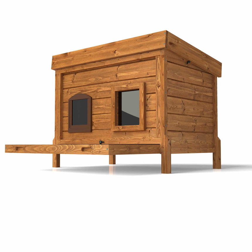 Cat Kennel Hotel - Home & Roost