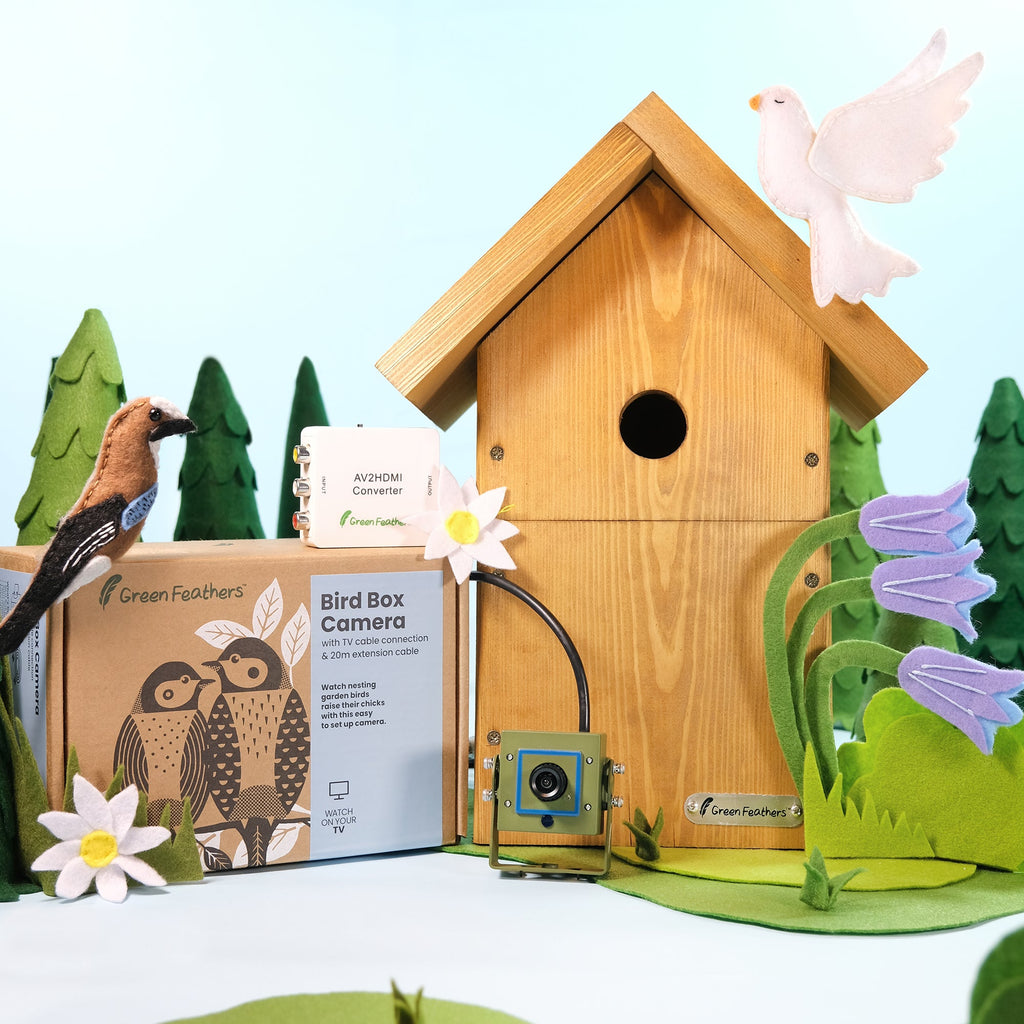 Cable Connection Bird Box Camera Starter Pack