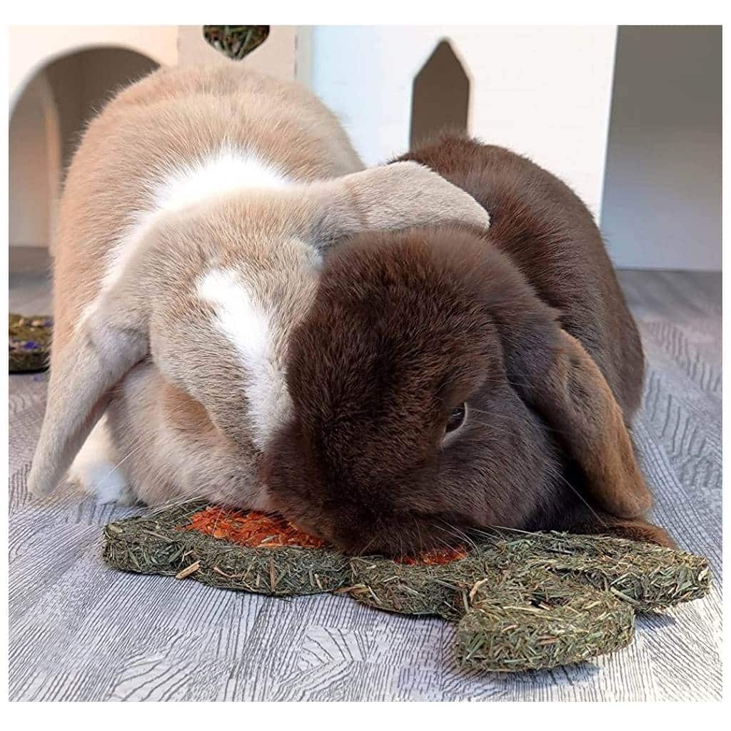 Naturals Carrot 'N' Forage Bunny Gnaw Treat For Small Animals - Home & Roost