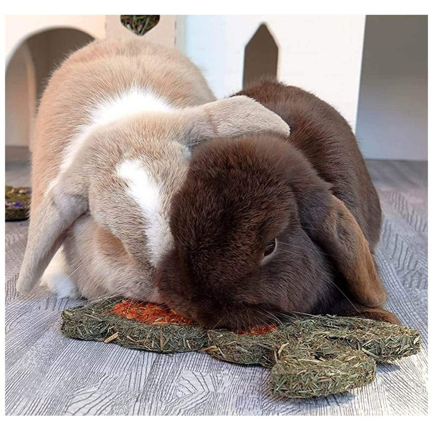 Naturals Carrot 'N' Forage Bunny Gnaw Treat For Small Animals - Home & Roost