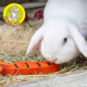 Ancol Carrot Cruncher Wooden Chew