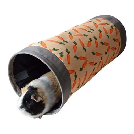 Carrot Fabric Tunnel - Home & Roost